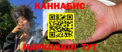 индика Кулебаки