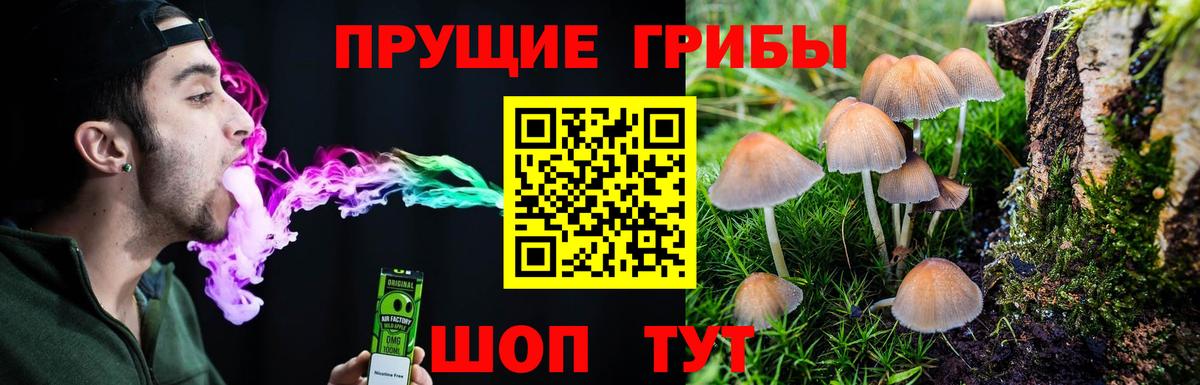 Ковров  Галлюциногенные грибы мухоморы  купить  сайты  Вход с VPN 