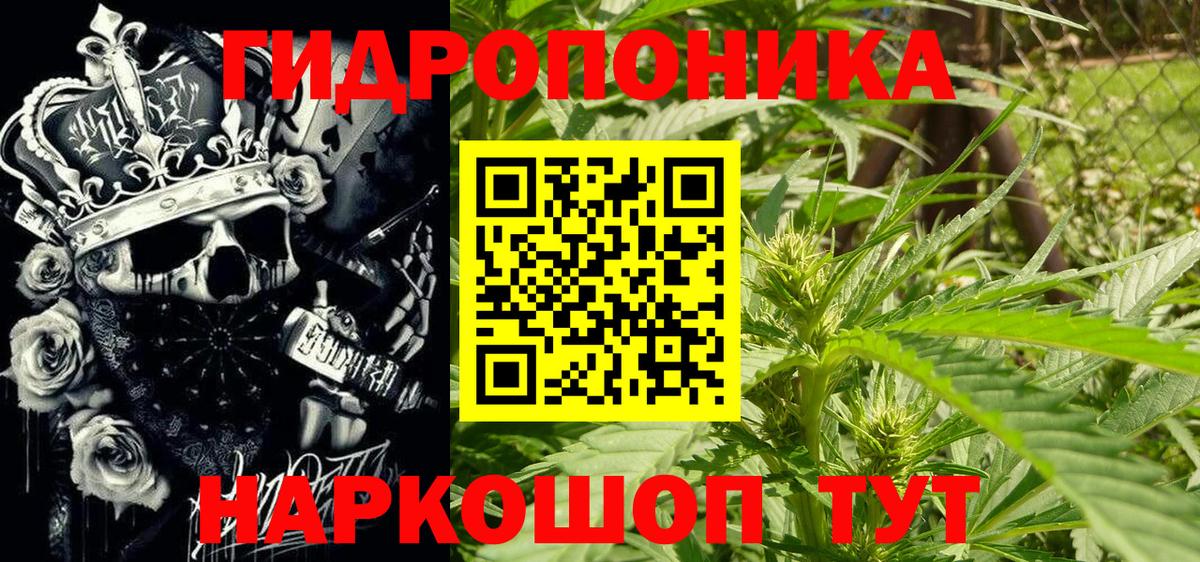 Канабис Bruce Banner Ковров